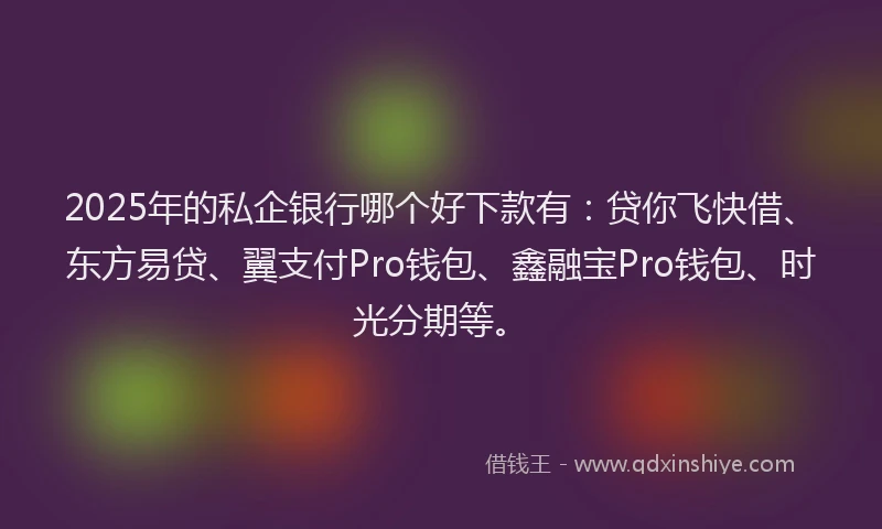 2025年的私企银行哪个好下款有：贷你飞快借、东方易贷、翼支付Pro钱包、鑫融宝Pro钱包、时光分期等。