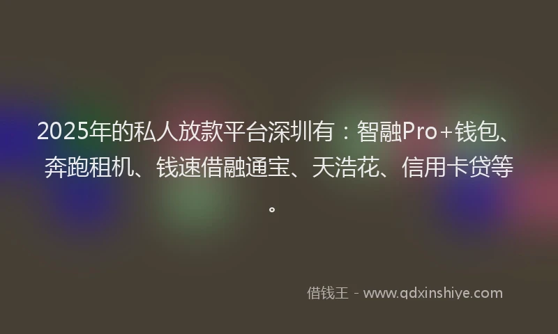 2025年的私人放款平台深圳有：智融Pro+钱包、奔跑租机、钱速借融通宝、天浩花、信用卡贷等。