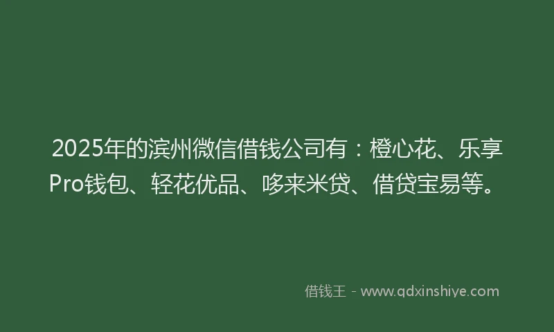 2025年的滨州微信借钱公司有：橙心花、乐享Pro钱包、轻花优品、哆来米贷、借贷宝易等。