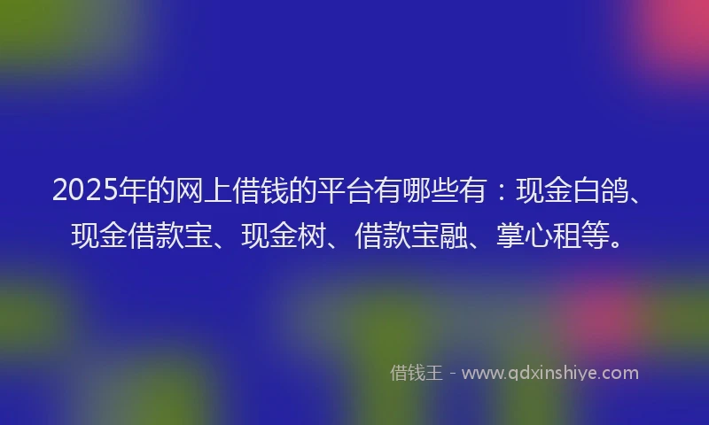 2025年的网上借钱的平台有哪些有：现金白鸽、现金借款宝、现金树、借款宝融、掌心租等。