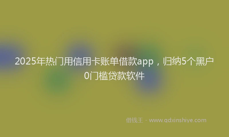 2025年热门用信用卡账单借款app，归纳5个黑户0门槛贷款软件