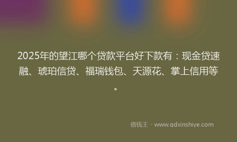 2025年的望江哪个贷款平台好下款有：现金贷速融、琥珀信贷、福瑞钱包、天源花、掌上信用等。