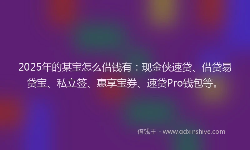 2025年的某宝怎么借钱有：现金侠速贷、借贷易贷宝、私立签、惠享宝券、速贷Pro钱包等。