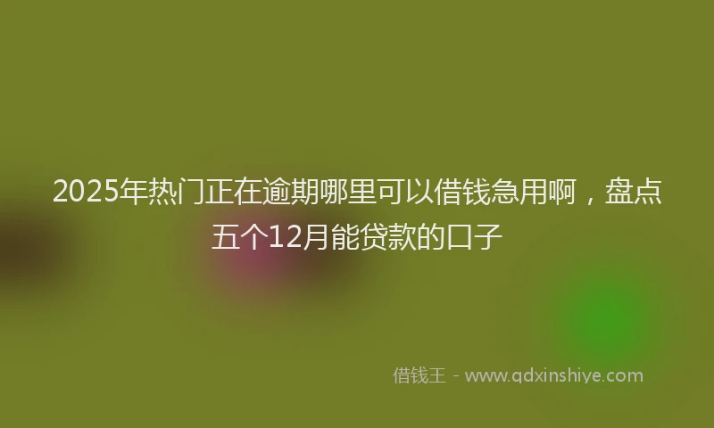 2025年热门正在逾期哪里可以借钱急用啊，盘点五个12月能贷款的口子