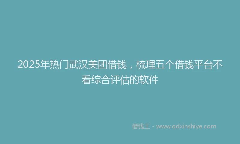 2025年热门武汉美团借钱，梳理五个借钱平台不看综合评估的软件