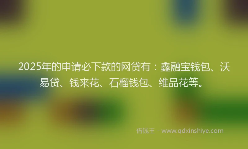 2025年的申请必下款的网贷有：鑫融宝钱包、沃易贷、钱来花、石榴钱包、维品花等。