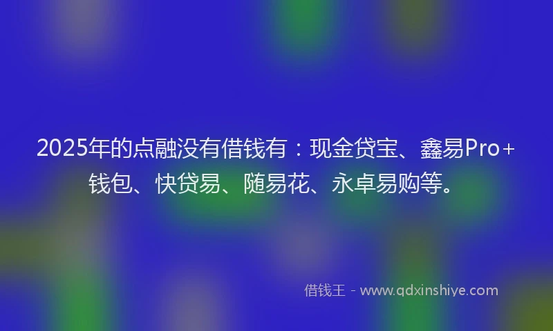 2025年的点融没有借钱有：现金贷宝、鑫易Pro+钱包、快贷易、随易花、永卓易购等。