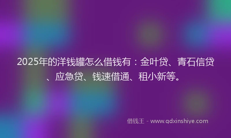 2025年的洋钱罐怎么借钱有：金叶贷、青石信贷、应急贷、钱速借通、租小新等。
