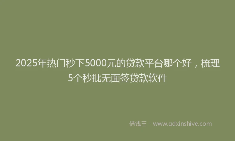 2025年热门秒下5000元的贷款平台哪个好，梳理5个秒批无面签贷款软件