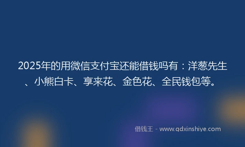 2025年的用微信支付宝还能借钱吗有：洋葱先生、小熊白卡、享来花、金色花、全民钱包等。