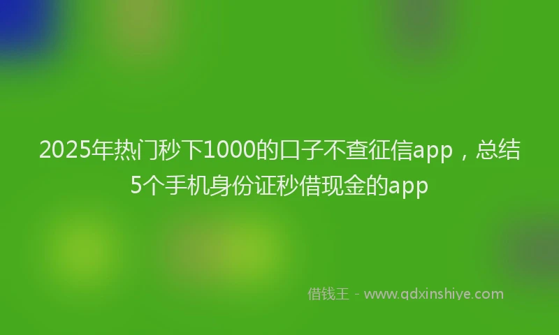 2025年热门秒下1000的口子不查征信app，总结5个手机身份证秒借现金的app