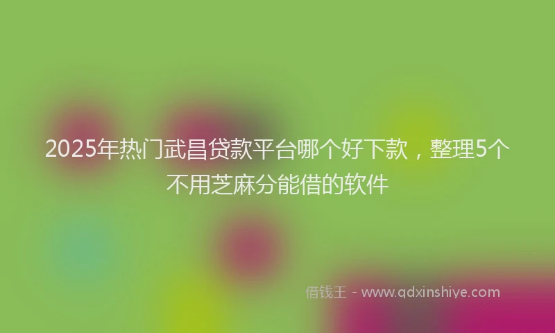 2025年热门武昌贷款平台哪个好下款，整理5个不用芝麻分能借的软件