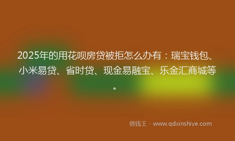 2025年的用花呗房贷被拒怎么办有：瑞宝钱包、小米易贷、省时贷、现金易融宝、乐金汇商城等。