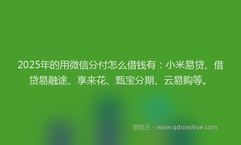 2025年的用微信分付怎么借钱有：小米易贷、借贷易融途、享来花、甄宝分期、云易购等。