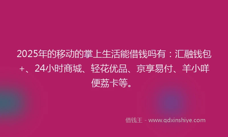 2025年的移动的掌上生活能借钱吗有：汇融钱包+、24小时商城、轻花优品、京享易付、羊小咩便荔卡等。
