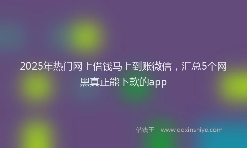 2025年热门网上借钱马上到账微信，汇总5个网黑真正能下款的app