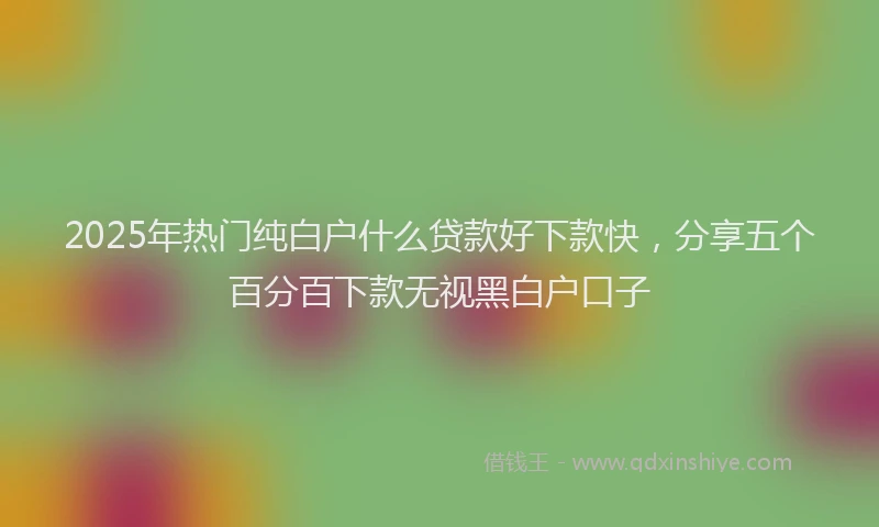 2025年热门纯白户什么贷款好下款快，分享五个百分百下款无视黑白户口子