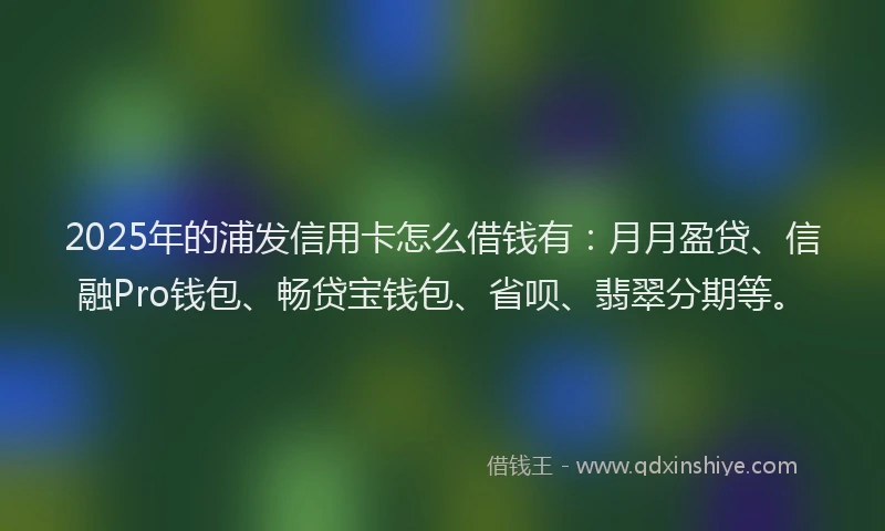 2025年的浦发信用卡怎么借钱有：月月盈贷、信融Pro钱包、畅贷宝钱包、省呗、翡翠分期等。