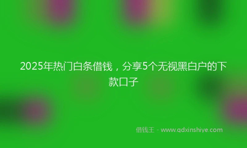 2025年热门白条借钱，分享5个无视黑白户的下款口子