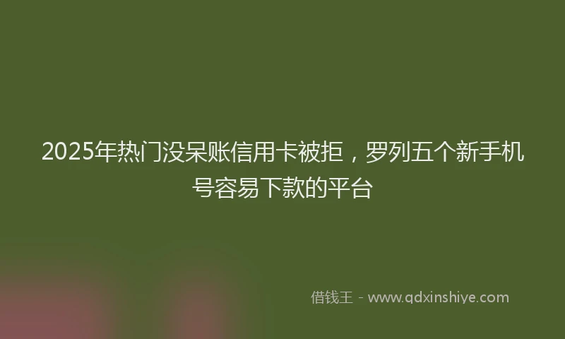 2025年热门没呆账信用卡被拒，罗列五个新手机号容易下款的平台