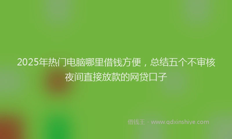2025年热门电脑哪里借钱方便，总结五个不审核夜间直接放款的网贷口子