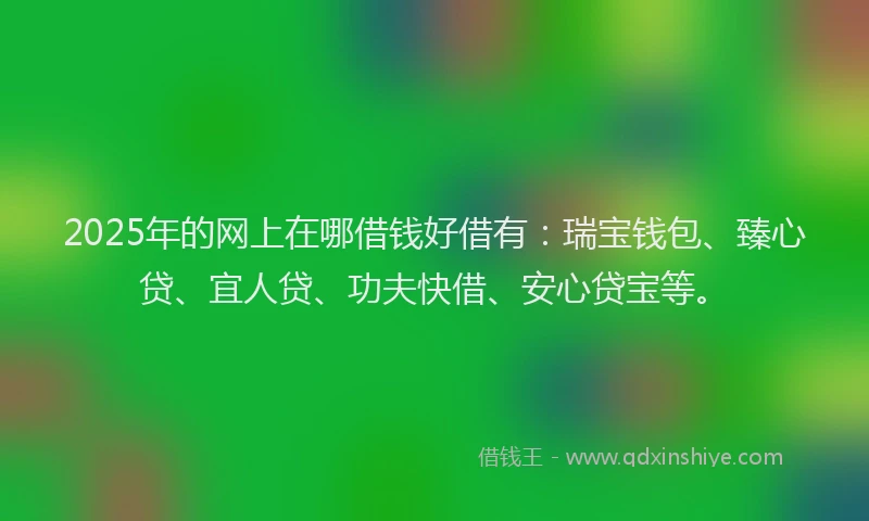 2025年的网上在哪借钱好借有：瑞宝钱包、臻心贷、宜人贷、功夫快借、安心贷宝等。