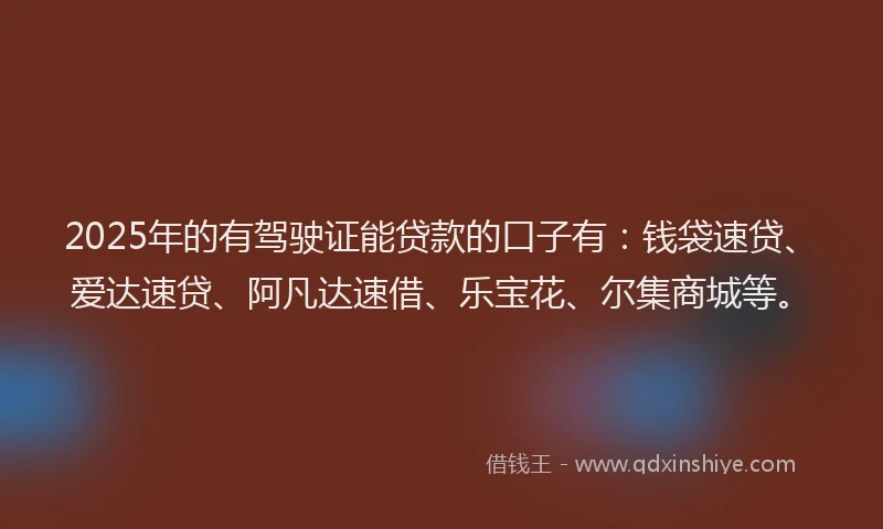 2025年的有驾驶证能贷款的口子有：钱袋速贷、爱达速贷、阿凡达速借、乐宝花、尔集商城等。