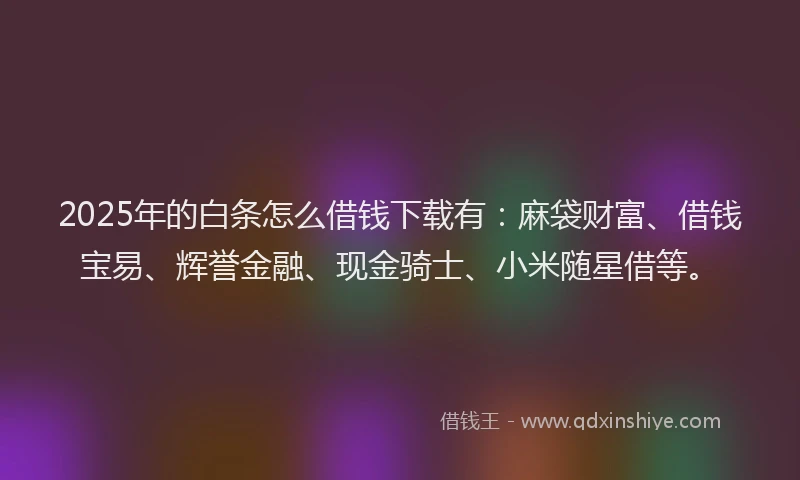 2025年的白条怎么借钱下载有：麻袋财富、借钱宝易、辉誉金融、现金骑士、小米随星借等。