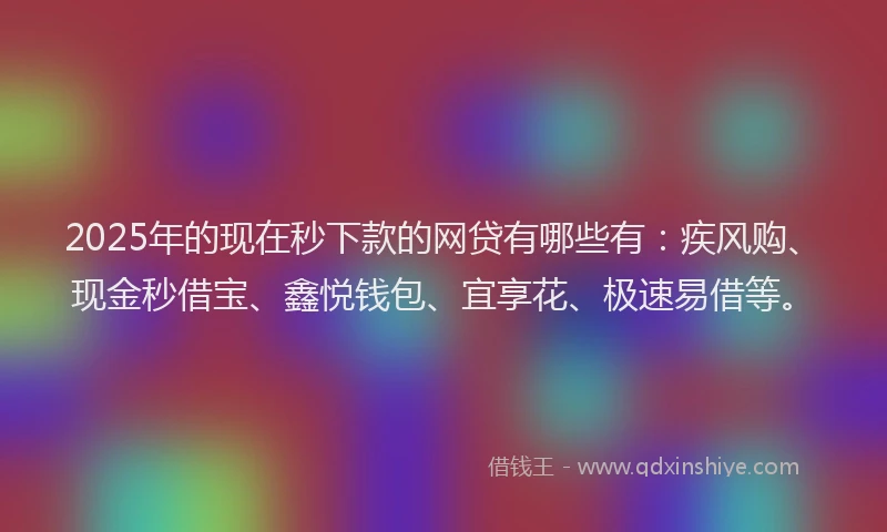 2025年的现在秒下款的网贷有哪些有：疾风购、现金秒借宝、鑫悦钱包、宜享花、极速易借等。