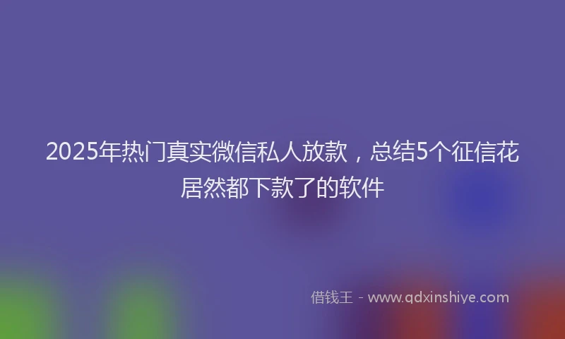 2025年热门真实微信私人放款，总结5个征信花居然都下款了的软件