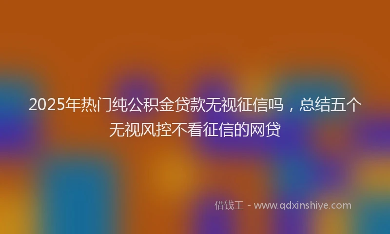2025年热门纯公积金贷款无视征信吗，总结五个无视风控不看征信的网贷