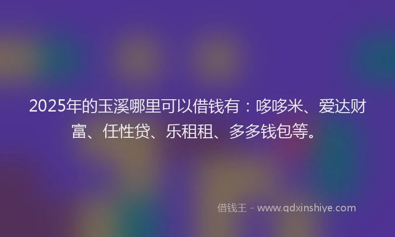 2025年的玉溪哪里可以借钱有：哆哆米、爱达财富、任性贷、乐租租、多多钱包等。