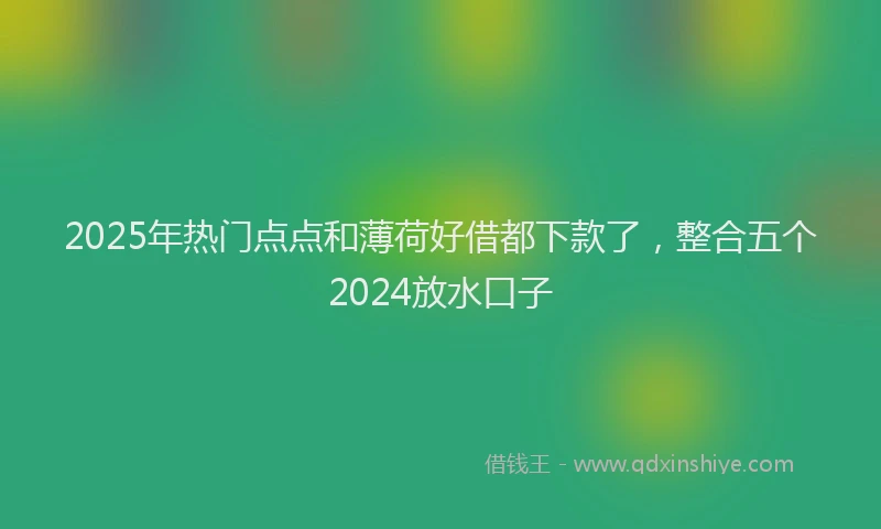 2025年热门点点和薄荷好借都下款了，整合五个2024放水口子