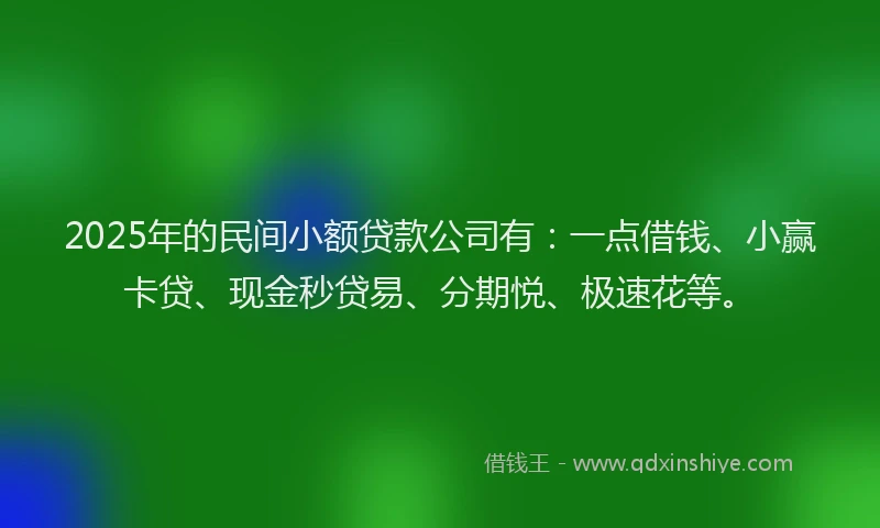 2025年的民间小额贷款公司有：一点借钱、小赢卡贷、现金秒贷易、分期悦、极速花等。
