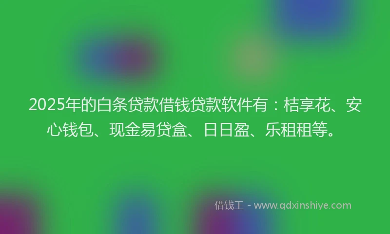 2025年的白条贷款借钱贷款软件有：桔享花、安心钱包、现金易贷盒、日日盈、乐租租等。