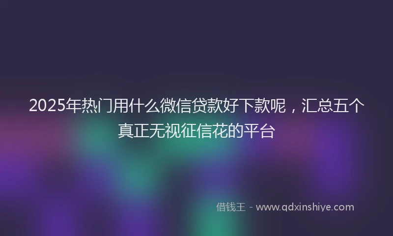 2025年热门用什么微信贷款好下款呢，汇总五个真正无视征信花的平台