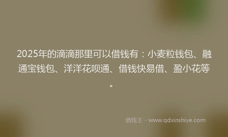 2025年的滴滴那里可以借钱有：小麦粒钱包、融通宝钱包、洋洋花呗通、借钱快易借、盈小花等。