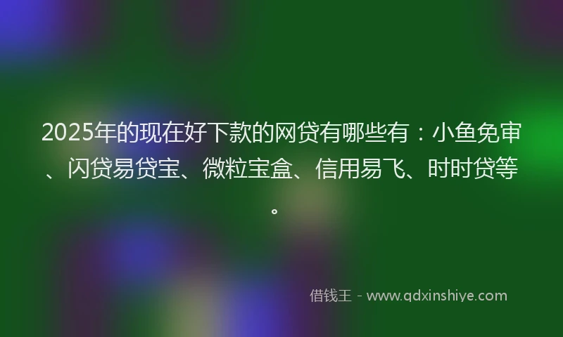 2025年的现在好下款的网贷有哪些有：小鱼免审、闪贷易贷宝、微粒宝盒、信用易飞、时时贷等。