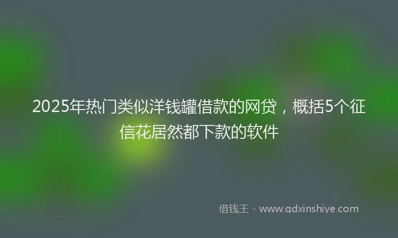 2025年热门类似洋钱罐借款的网贷，概括5个征信花居然都下款的软件