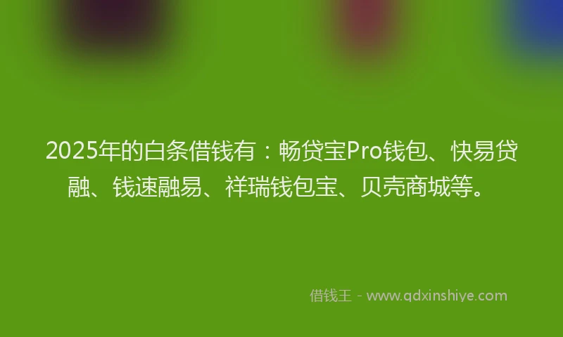 2025年的白条借钱有：畅贷宝Pro钱包、快易贷融、钱速融易、祥瑞钱包宝、贝壳商城等。