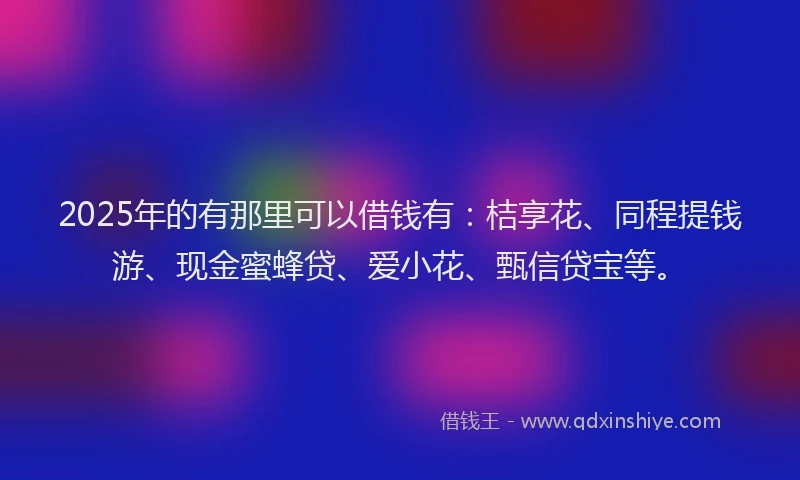 2025年的有那里可以借钱有：桔享花、同程提钱游、现金蜜蜂贷、爱小花、甄信贷宝等。