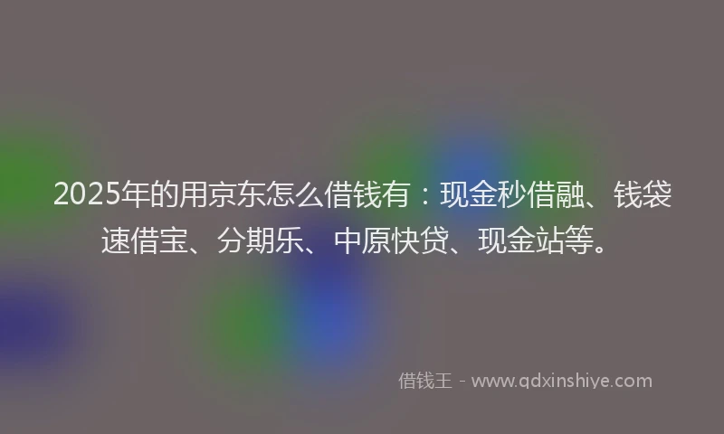 2025年的用京东怎么借钱有：现金秒借融、钱袋速借宝、分期乐、中原快贷、现金站等。
