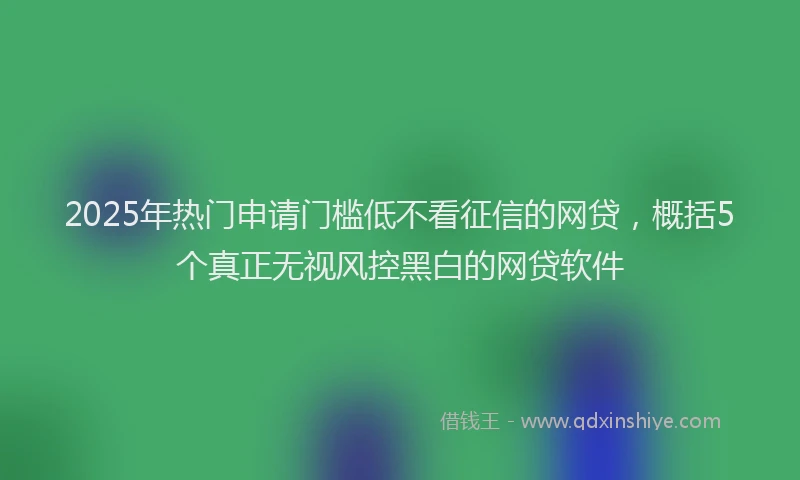2025年热门申请门槛低不看征信的网贷，概括5个真正无视风控黑白的网贷软件
