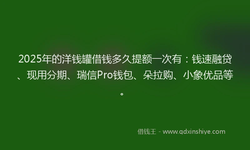 2025年的洋钱罐借钱多久提额一次有：钱速融贷、现用分期、瑞信Pro钱包、朵拉购、小象优品等。