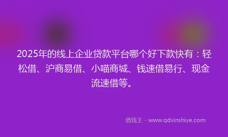 2025年的线上企业贷款平台哪个好下款快有：轻松借、沪商易借、小喵商城、钱速借易行、现金流速借等。