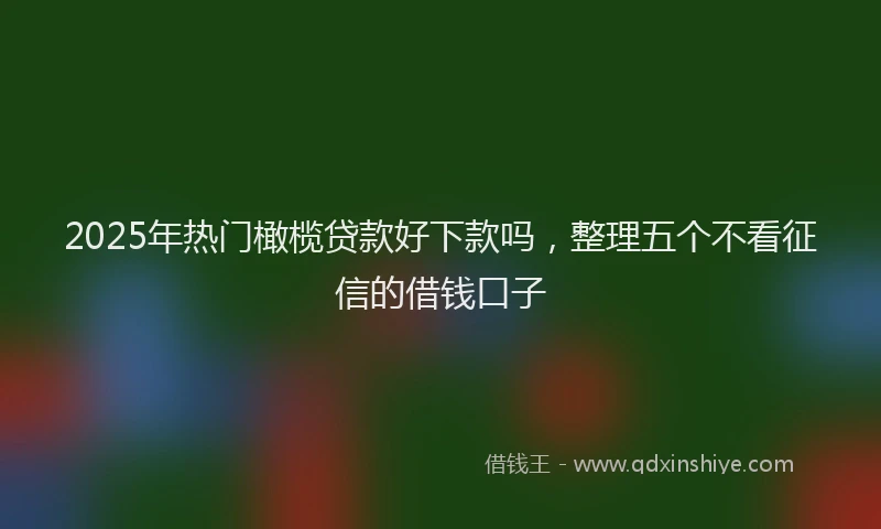 2025年热门橄榄贷款好下款吗，整理五个不看征信的借钱口子