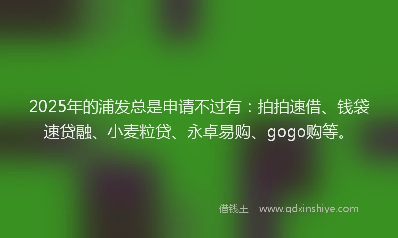 2025年的浦发总是申请不过有：拍拍速借、钱袋速贷融、小麦粒贷、永卓易购、gogo购等。