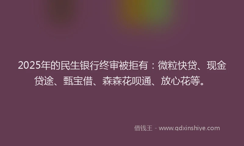 2025年的民生银行终审被拒有：微粒快贷、现金贷途、甄宝借、森森花呗通、放心花等。