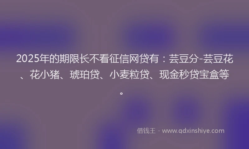 2025年的期限长不看征信网贷有：芸豆分-芸豆花、花小猪、琥珀贷、小麦粒贷、现金秒贷宝盒等。