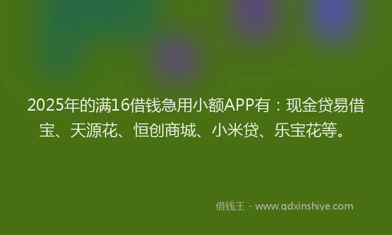 2025年的满16借钱急用小额APP有：现金贷易借宝、天源花、恒创商城、小米贷、乐宝花等。